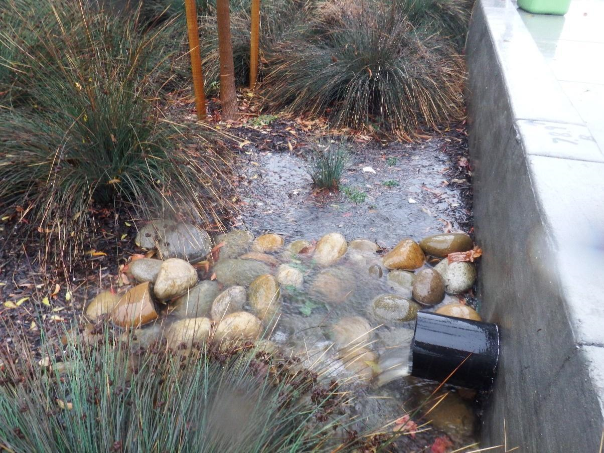  Bioretention unit on Osgood Road in Fremont, California (Source: Alicia Gilbreath)