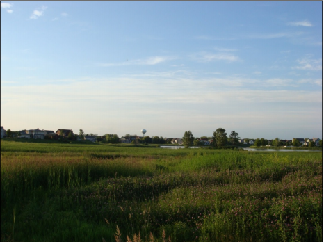 Storm water wetlands (Source:  LID Definitions and Details, J. Walker).